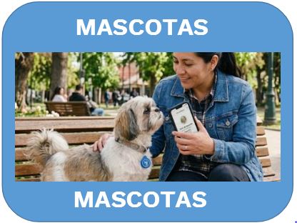 Acceso a Mascotas Teencuentro